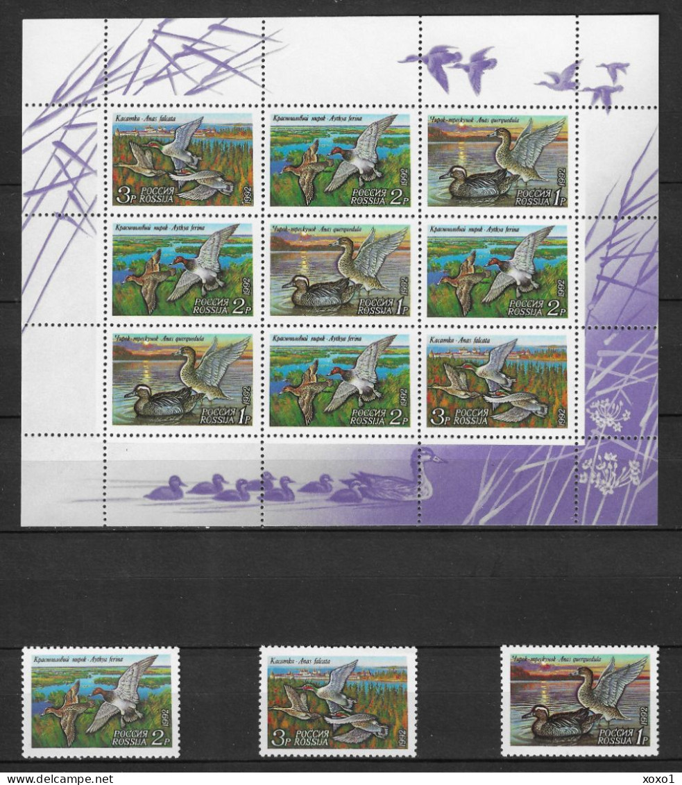 Russia 1992 MiNr. 254 - 256  Russland Birds  Ducks I Garganey, Common Pochard, Falcated Duck   3v+ M\sh MNH** 5,00 € - Canards