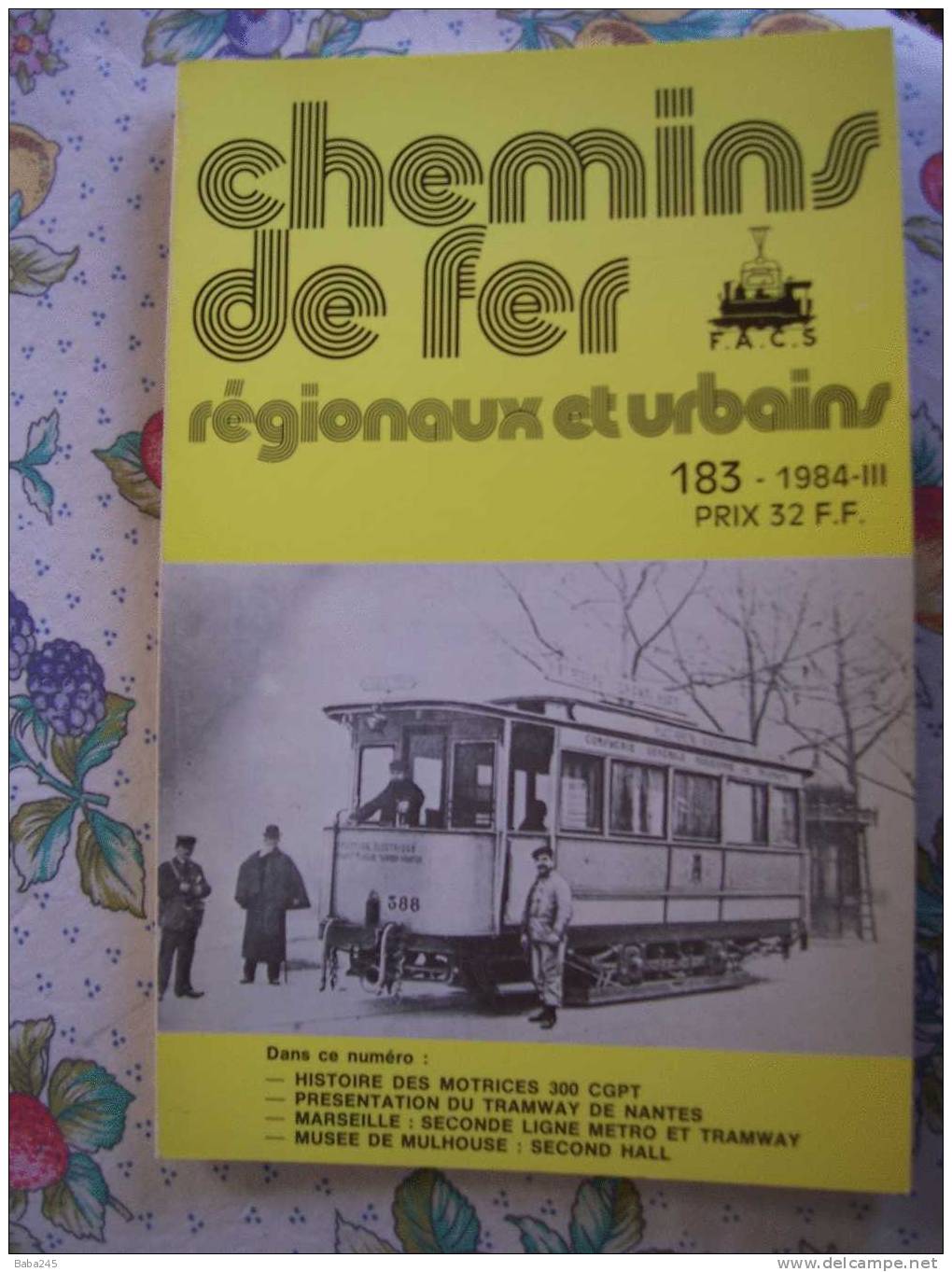 CHEMINS DE FER SECONDAIRES 1984 TRAMWAY DE NANTES - Trains