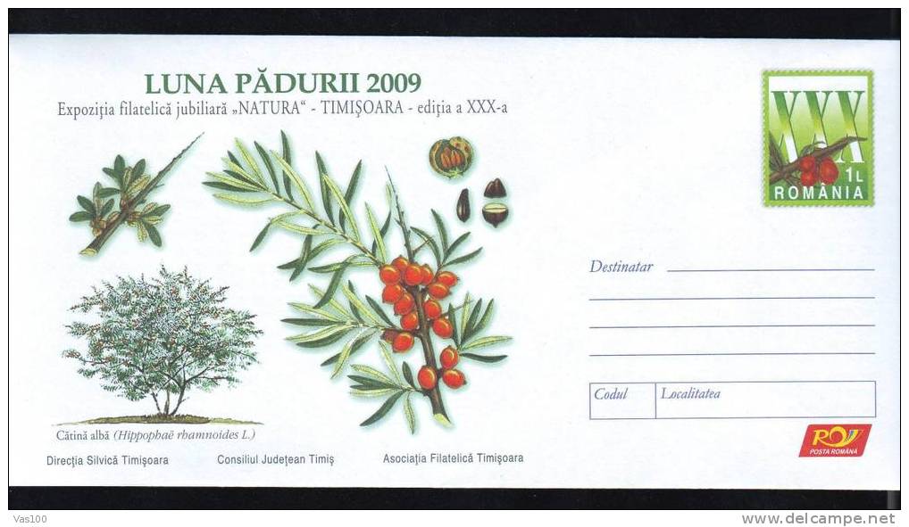 FRUITS "HIPPOPBAE RBAMNOIDES L.",COVER STATIONERY 2009,ROMANIA. - Bäume