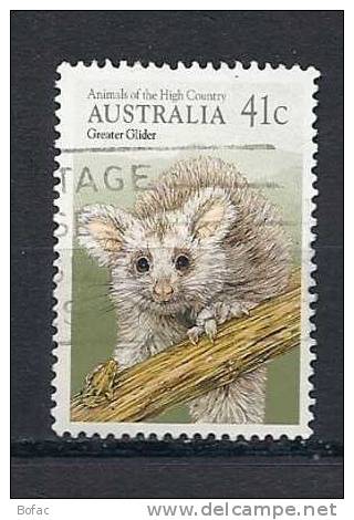 (OBL)   AUSTRALIE   (rongeurs Gréater Glider) - Rodents