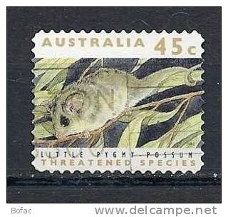 THEMES (OBL)  AUSTRALIE   (rongeurs Little Pygmy) - Rodents