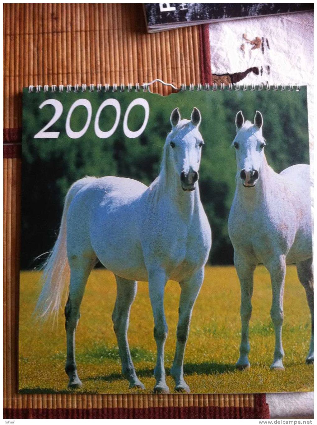 Calendrier 2000, Chevaux - Grand Format : 1991-00