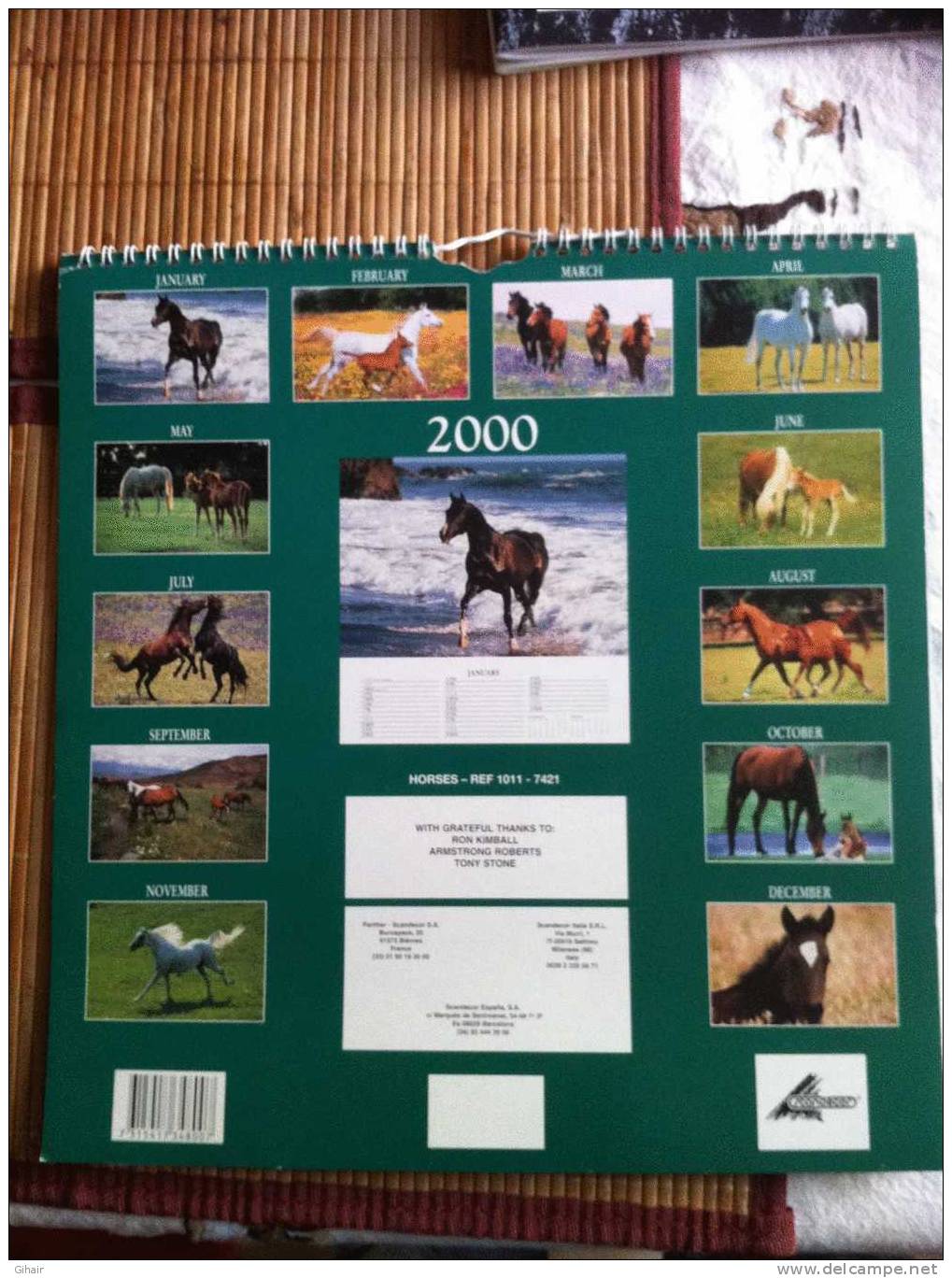 Calendrier 2000, Chevaux - Grand Format : 1991-00