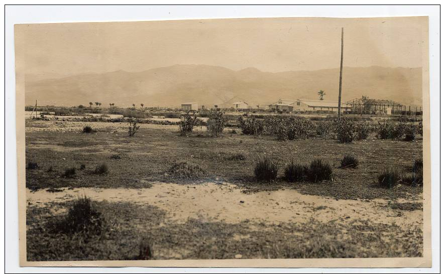 1930s Real Photo  BEIRUT  Bayrut  Beyrouth  Lebanon - Alte (vor 1900)