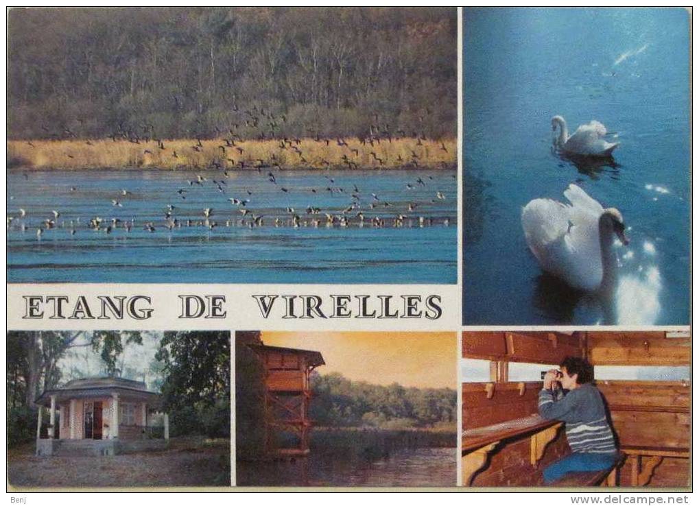 Carte Postale Multivue VIRELLES CHIMAY Réserve Naturelle De L´étang De Virelles (cygnes) (B) - Chimay