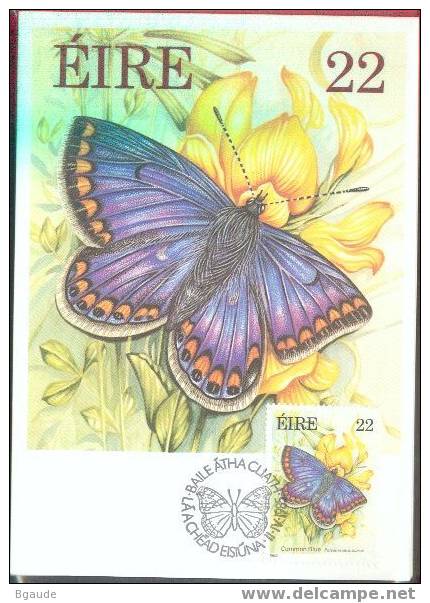 IRLANDE CARTE MAXIMUM NUM YVERT  562 PAPILLONS - Maximum Cards