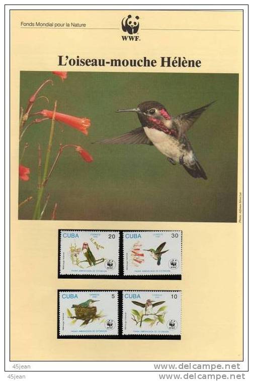 Cuba: Très Beau Document WWF, Colibri,  Comprenant Les 4 Timbres Et 6 Pages - Brieven En Documenten