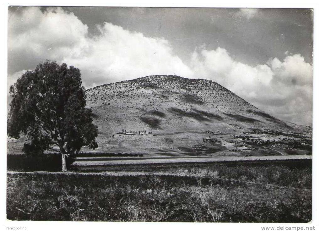 JORDAN / ISRAEL / PALESTINE - LE MONT TABOR/MOUNT THABOR-VU DE L'EST/SEEN FROM THE EAST - Jordan