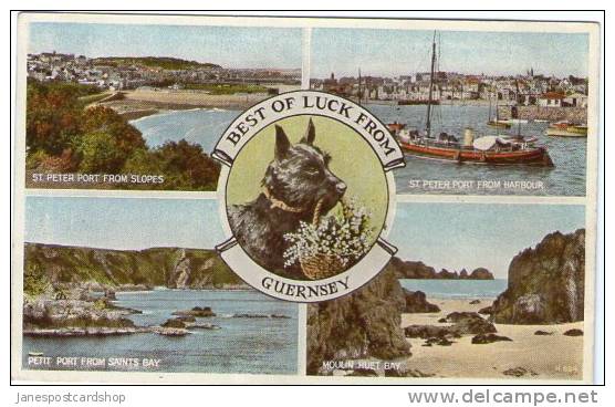 GUERNSEY - Multi-View PCd - Coloured - Channel Islands - Isles De La Manche - Guernsey