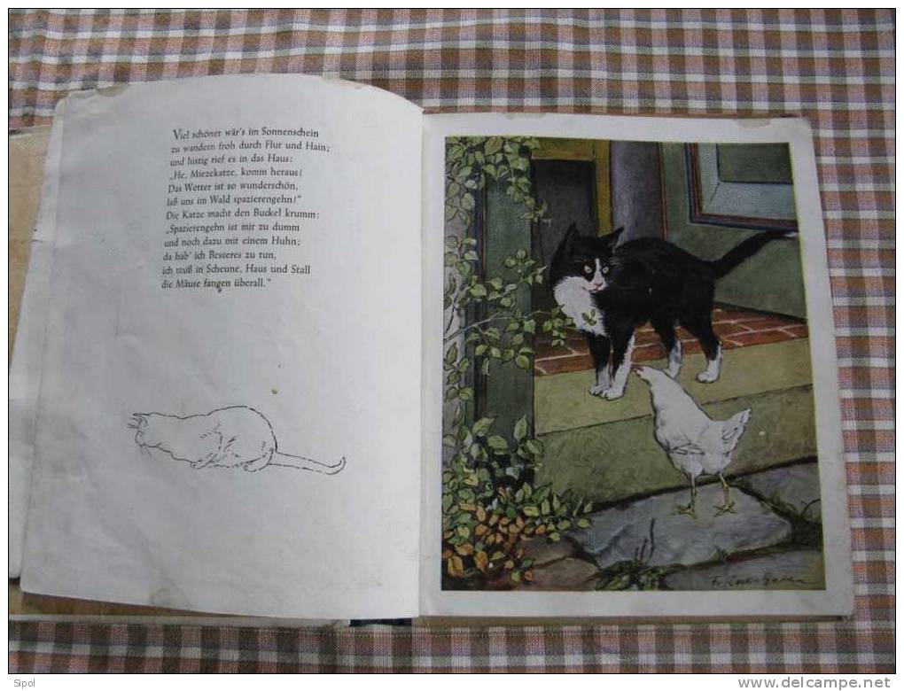 Das Hühnchen " Gabinchen"  Von M.Speisebecher Bilder Von F.K.Gotha  - 24 Pages Défraichies - Animali