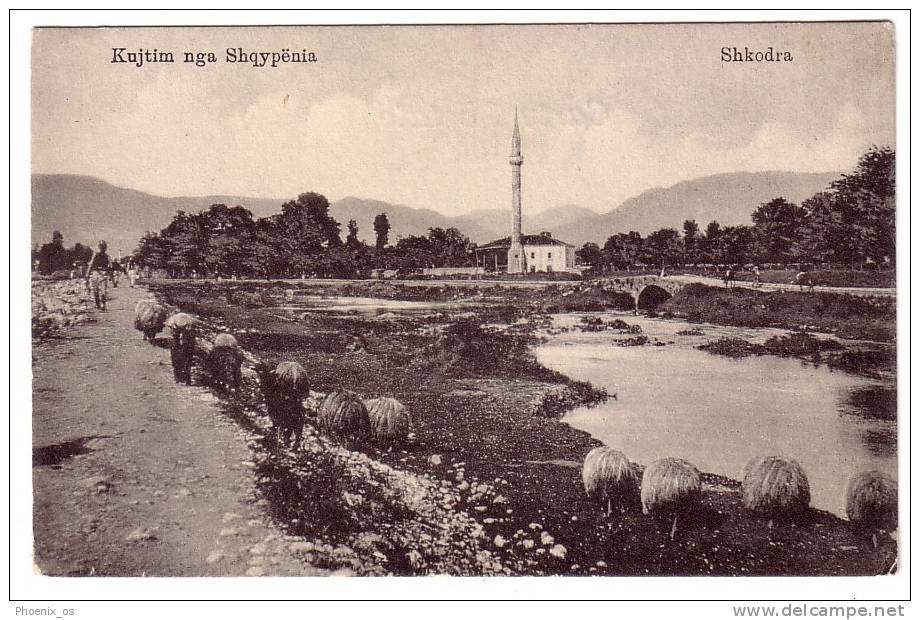 ALBANIA - Scutari, (Shkodra), Sight On The Town, Mosque And Sheeps - Albania