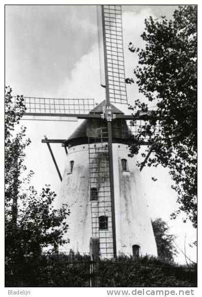 TIEGEM ~ Anzegem (W.Vl.) - Molen/moulin - Historische Opname Van De Stampermolen In 1975. Later Afgebroken En Herbouwd. - Anzegem