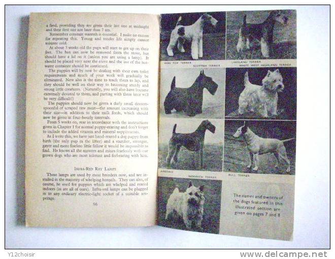 LIVRE THE PAN BOOK OF DOGS CATHERINE FISCHER CHIENS HUNDE 90 BREEDS RACES ANIMAL RACE CANINE CANICHE TERRIER YORKSHIRE - Dieren