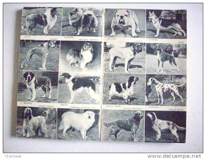 LIVRE THE PAN BOOK OF DOGS CATHERINE FISCHER CHIENS HUNDE 90 BREEDS RACES ANIMAL RACE CANINE CANICHE TERRIER YORKSHIRE - Animales