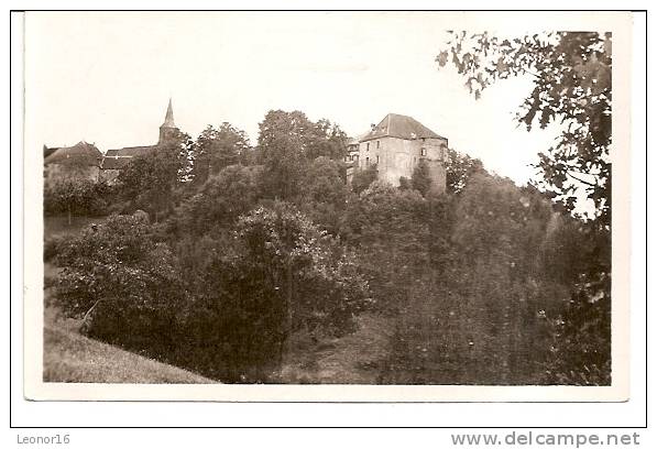 LA PETITE PIERRE   -   ** VUE PARTIELLE  Avec  CHATEAU Et  EGLISE **  -  Editeur : Félix LUIB De Strasbourg    N° 171 - La Petite Pierre