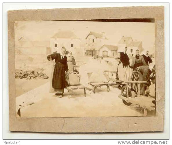 Photo 56 QUIBERON Port Maria Déchargement Sur Les Quais Grande Animation (2) - Anciennes (Av. 1900)