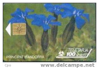 # ANDORRA 20 Iris Bleu 100 Gem 12.94 20000ex -fleurs,flowers- Tres Bon Etat - Andorra