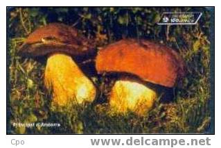 # ANDORRA 61 Champignons : Cepes 100 Sc7 10.96 10000ex -champigons,mushrooms- Tres Bon Etat - Andorre