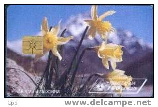 # ANDORRA 26 Narcisses Jaunes 100 Gem 06.95 20000ex -fleurs,flowers- Tres Bon Etat - Andorra