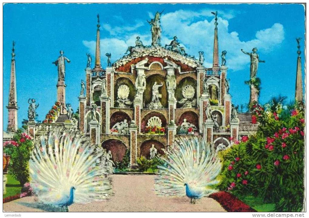 Italy - Lago Maggiore - Isola Bella Giardino - The Garden - Old Unused Postcard [P2482] - Other & Unclassified