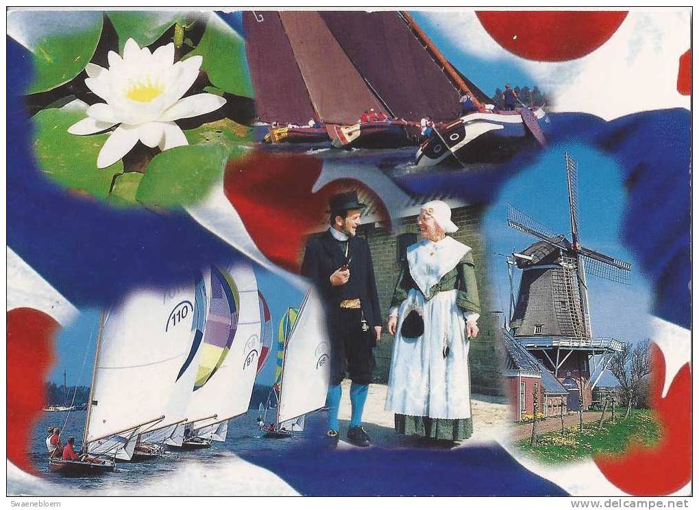 NL.- Friesland. Klederdracht. Hollands Glorie. Molen - Zeilen - Waterlelie. - Sonstige & Ohne Zuordnung