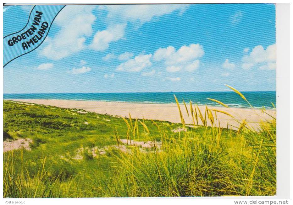 (NE304) GROETEN VAN AMELAND. PLAGE. STRAND - Ameland