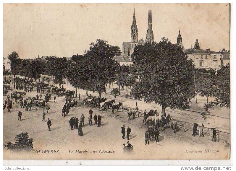 Chartres..Le Marché Aux Chevaux - Chartres