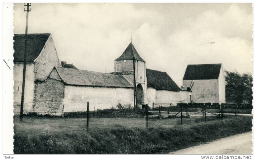 Taviers - Ferme Rigo - Eghezée