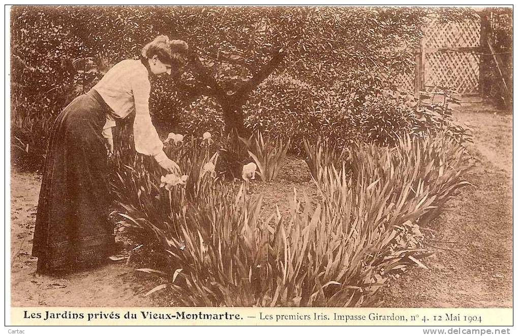 D75 - PARIS - LES JARDINS PRIVES DU VIEUX MONTMARTRE - LES PREMIERS IRIS IMPASSE GIRARDON N° 4 - 12 MAI 1904 - Parcs, Jardins