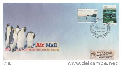 Penguins Empereurs  Base Davis. Lettre De L´ Antarctique Australien. - Briefe U. Dokumente