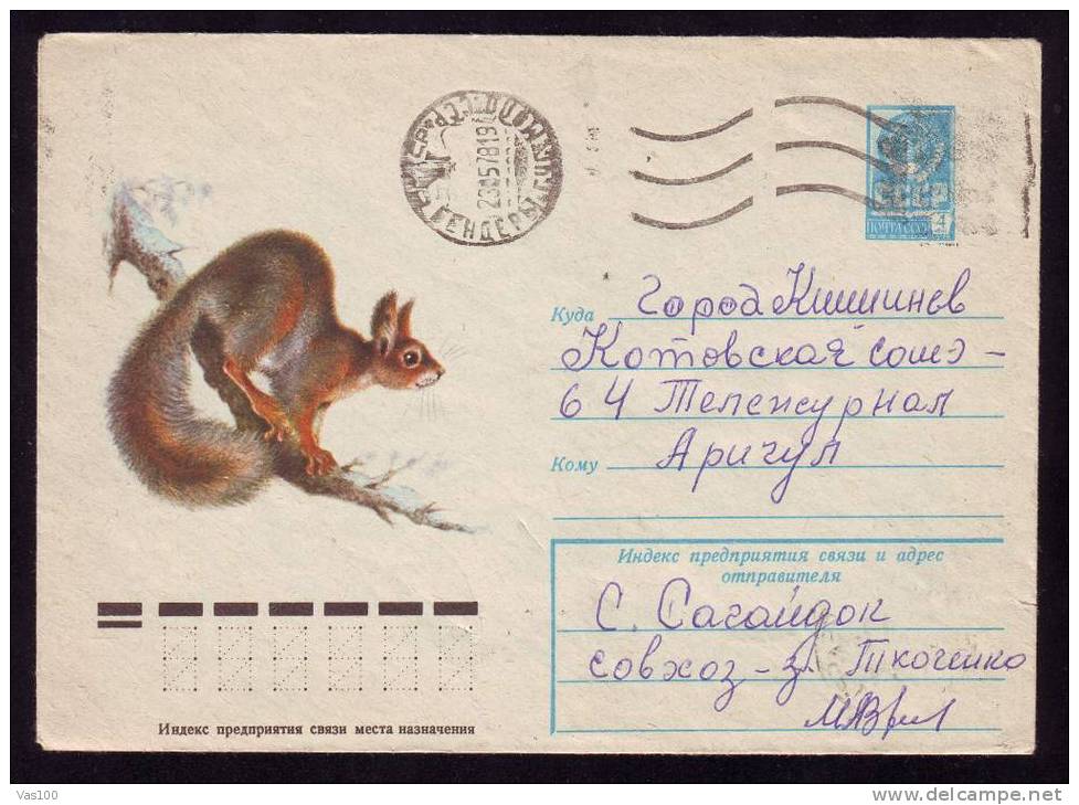 RUSSIA 1978 Cover Stationery With Animal Rodents,squirrel. - Rodents