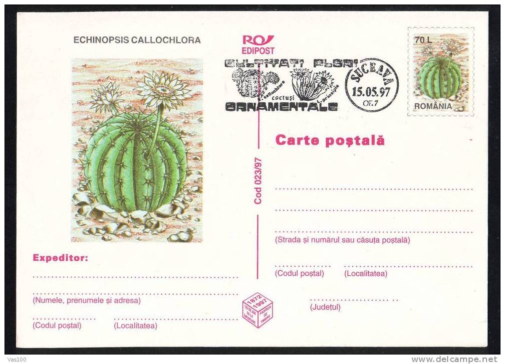 ROMANIA 1997 PMK , Entier Postaux Stationery POSTCARD,with Cactusses,cactus.(A5) - Cactusses