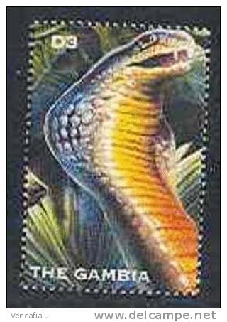 Gambia - Snake, 1 Stamp, MNH - Serpents
