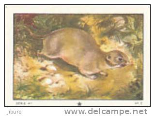 Image Rongeur / Le Mulot  / Fieldmouse  // Ref IM 6-K/27 - Nestlé