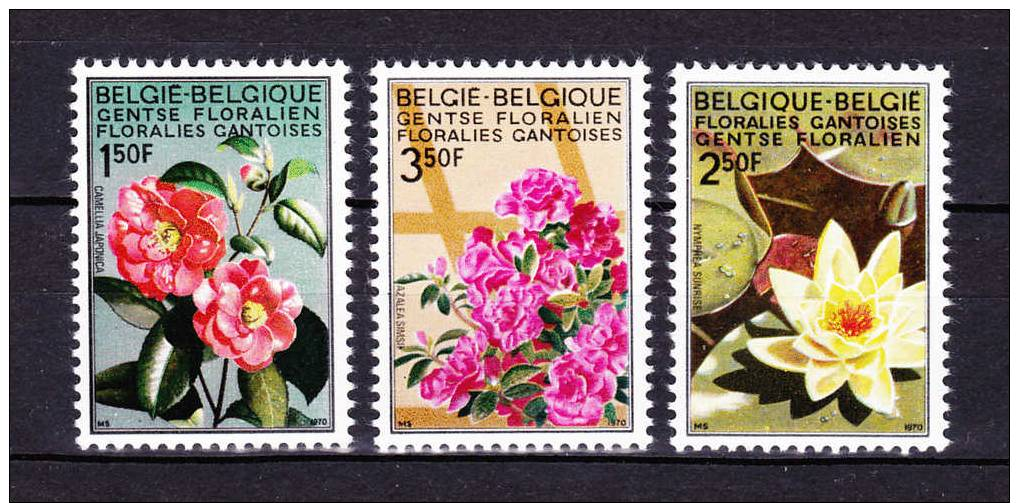 BELGIUM  1970,  Flowers , Y&T  1523/25 + BF 47 , Cv  3.05 E , ** M N H , V V F - Ongebruikt