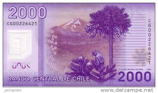 CHILI  2 000 Pesos  Emission De 2009   Polymer    ***** BILLET  NEUF ***** - Chili