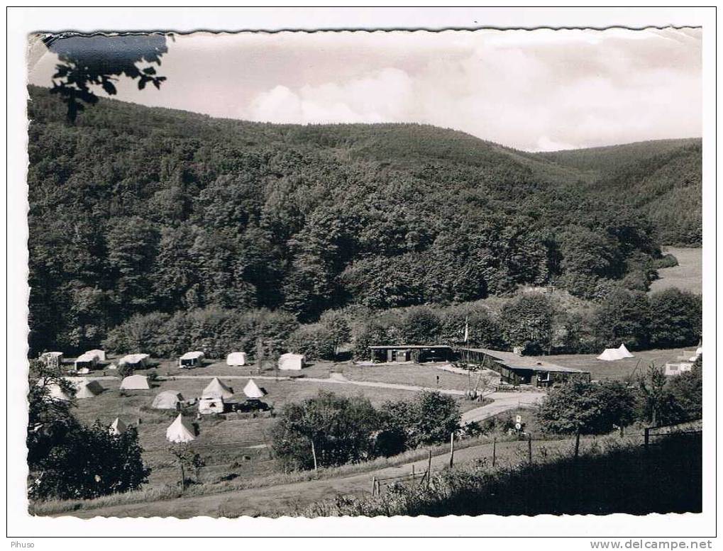 D1889    HIRSCHHORN : Zelltplatz Bei Hirschhorn Am Neckar - Darmstadt