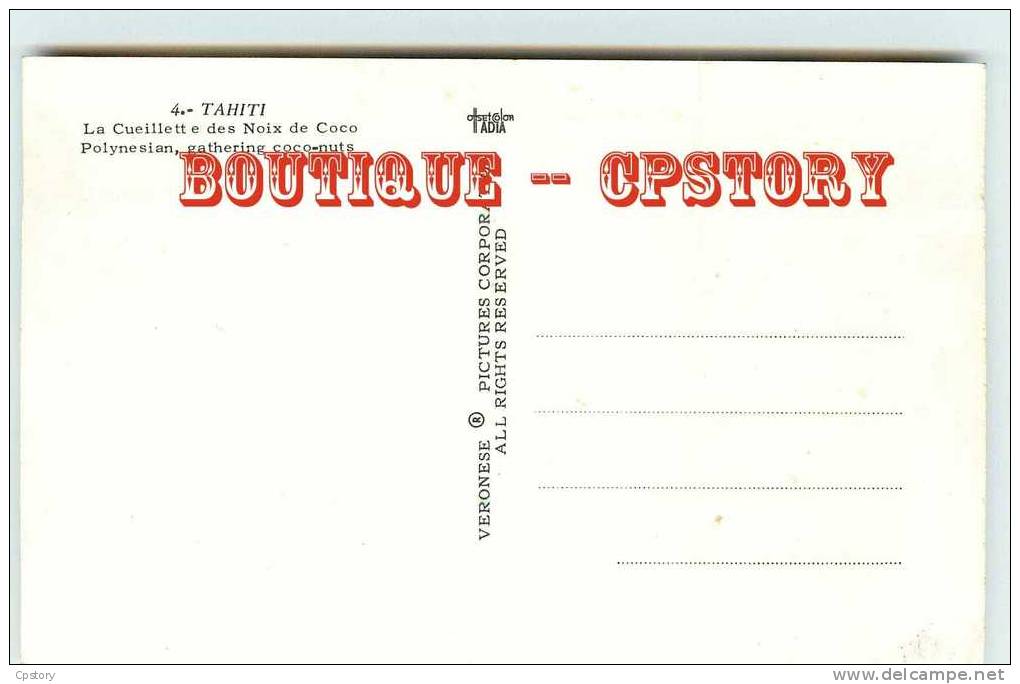 POLYNESIE  TAHITI - Ceuillette Des Noix De Coco - Polynesian Gathering Coco Nuts - Dos Scané - Tahiti