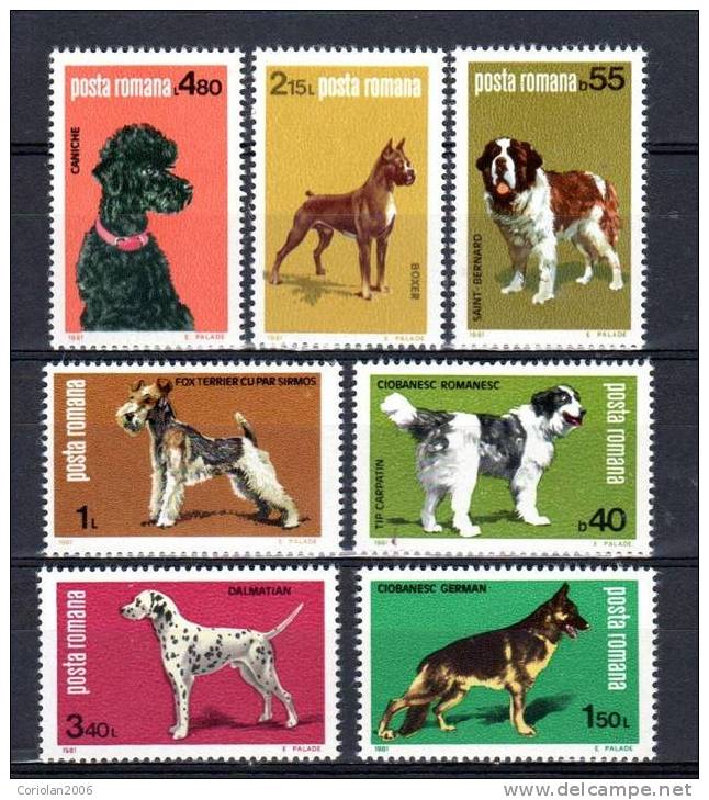 Romania 1981 / Dogs - Unused Stamps