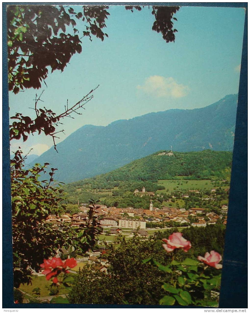 FAVERGES.Vue Générale Et Mont Blanc.Cpsm,voyagé,be - Faverges