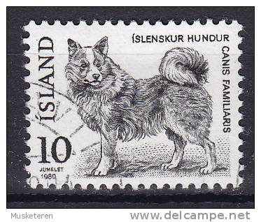 Iceland 1980 Mi. 550    10.00 Kr Einheimische Tiere Animals Isländischer Hund Dog Chien - Oblitérés