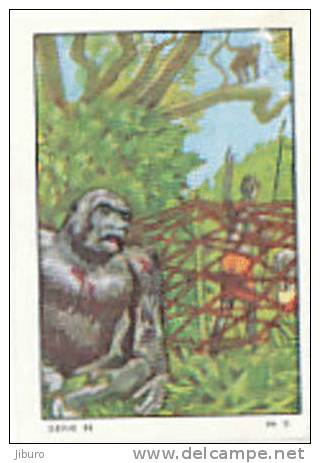 Image / Chasse Au Gorille / Gorilla Hunting  // Ref IM 6-K/40 - Nestlé