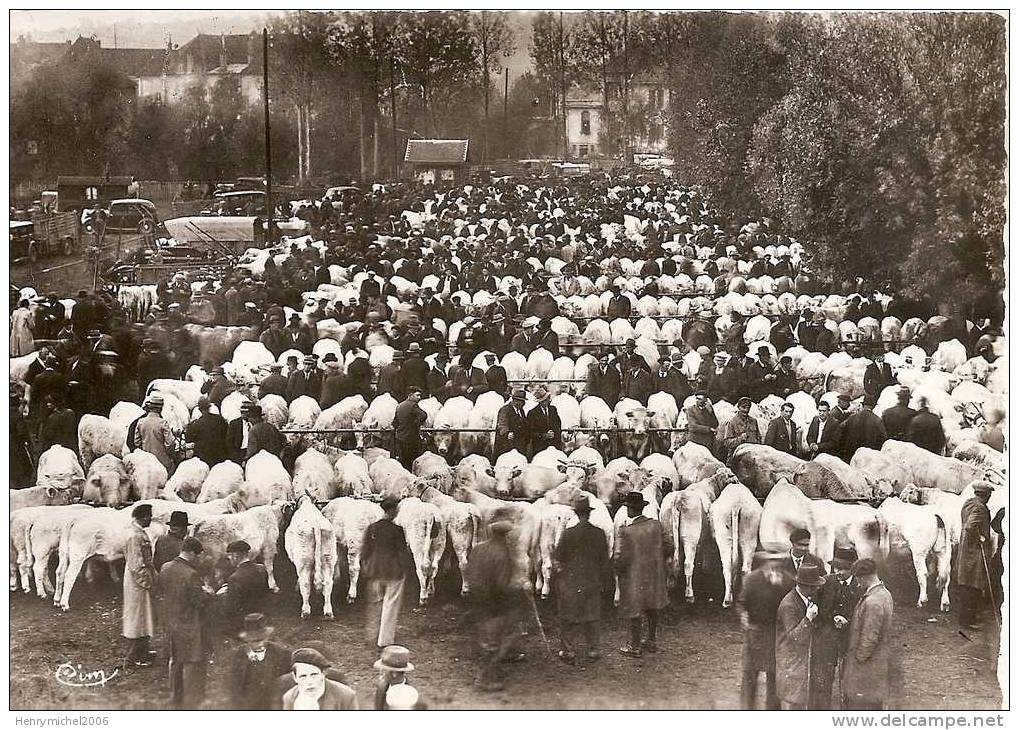 71 - Charolles La Foire Aux Veaux En 1968, Centre D'élevage , Berceau De Cette Race Bovine, Ed Photo Cim - Charolles