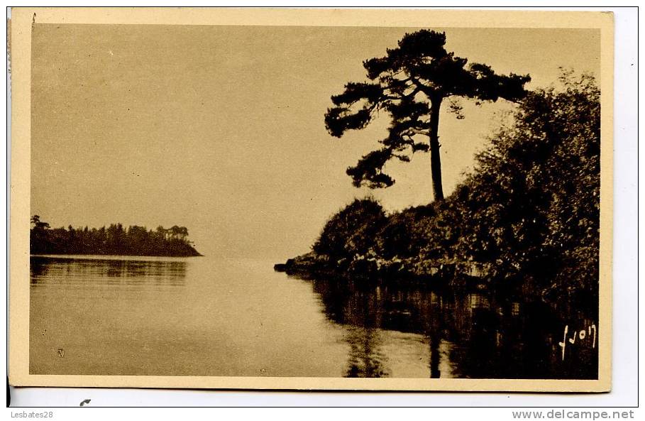 CPA 29.-LA FORÊT DE FOUESNANT.-Estuaire De St6 Laurent, Le Vieux Pin.-2011 349 - La Forêt-Fouesnant