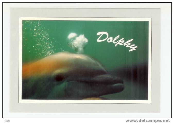 Dauphin: Dolphy, Femelle Dauphin Ayant Elue Domicile à Banyuls (05-5066) - Dolfijnen