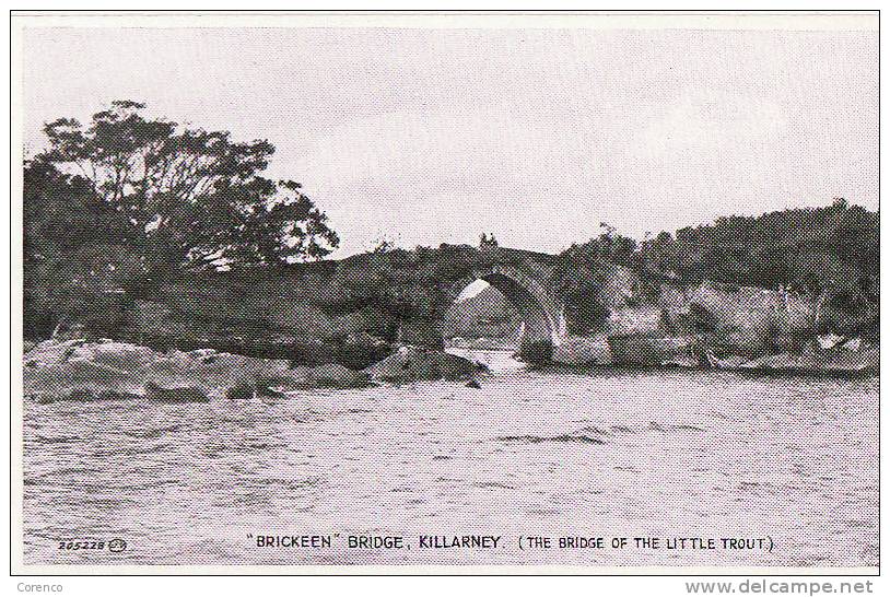 5599  KILLARNEY   BRIDGE      Non écrite - Kerry