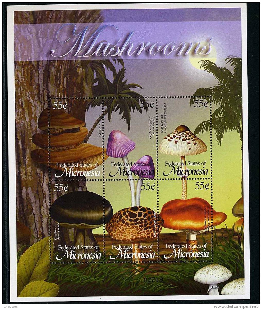 Micronésie ** N° 1175 à 1180 Formant Bloc - Champignons  (6 P11) - Micronesia