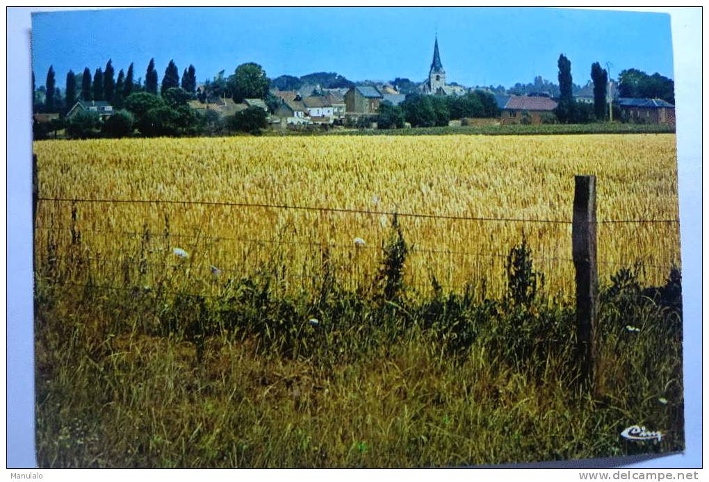 Feluy - Panorama - Seneffe