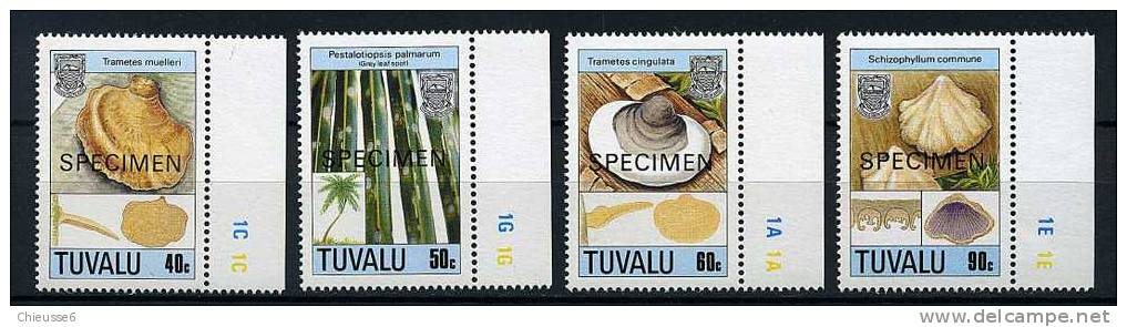 Tuvalu ** N° 515 à 518 Spécimens - Champignons (II) (6 P32) - Tuvalu