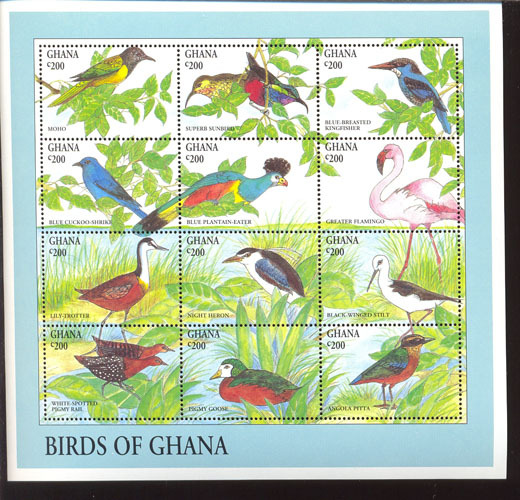 MINT NEVER HINGED MINI SHEET OF BIRDS   #   M-295-2*   ( GHANA    1688 - Autres & Non Classés